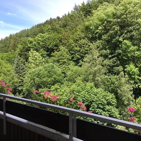 Naturboutique Hotel Rauszeit Willingen  Buitenkant foto