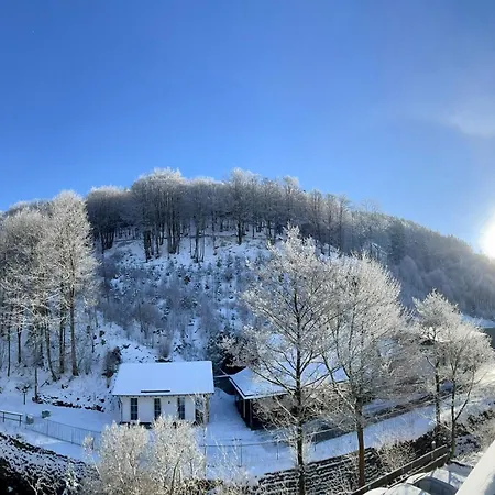 Naturboutique Hotel Rauszeit Willingen  Buitenkant foto