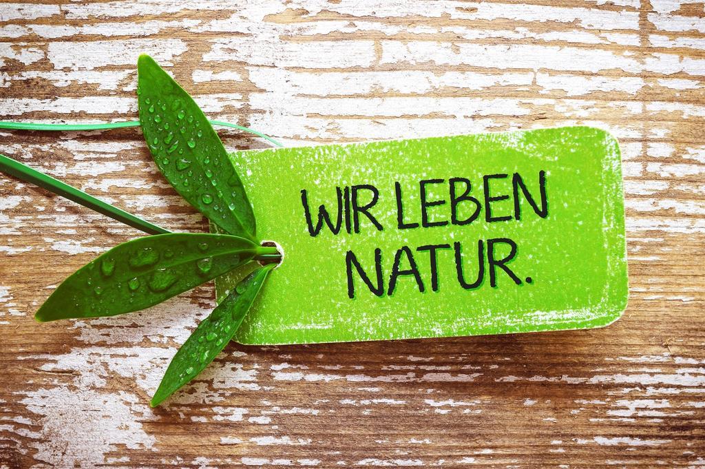 Hotel Naturboutique Rauszeit 4*